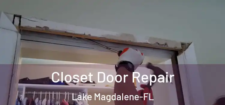  Closet Door Repair Lake Magdalene-FL