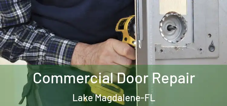  Commercial Door Repair Lake Magdalene-FL