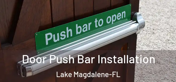  Door Push Bar Installation Lake Magdalene-FL