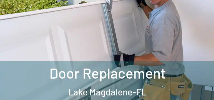  Door Replacement Lake Magdalene-FL
