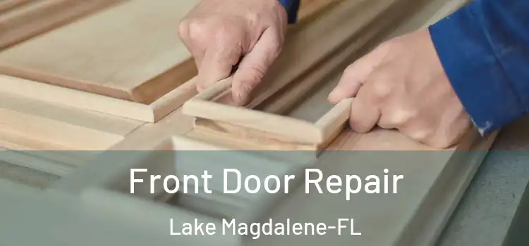  Front Door Repair Lake Magdalene-FL