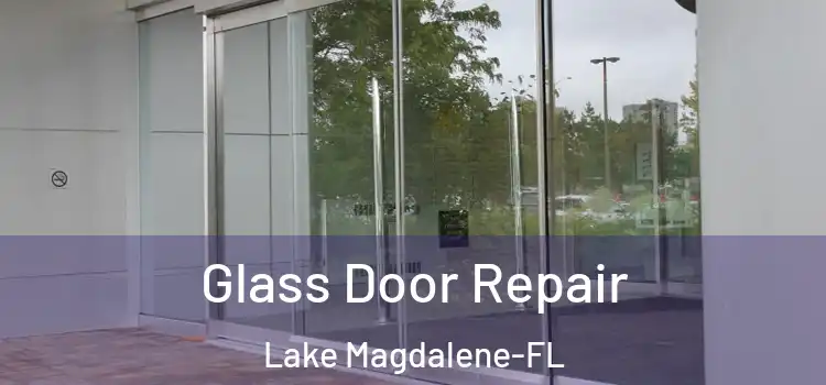  Glass Door Repair Lake Magdalene-FL