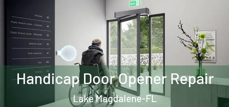  Handicap Door Opener Repair Lake Magdalene-FL