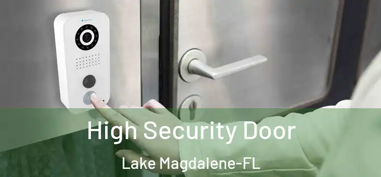  High Security Door Lake Magdalene-FL