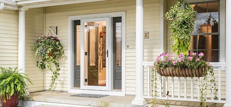 screen door installation in Lake Magdalene
