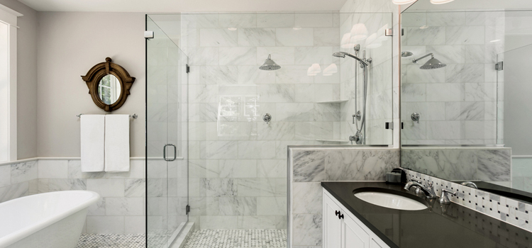 bathroom shower door installation in Lake Magdalene