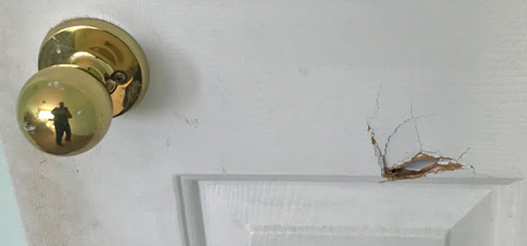 interior door hole repair Lake Magdalene