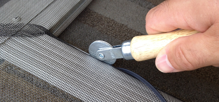 metal screen door repair in Lake Magdalene