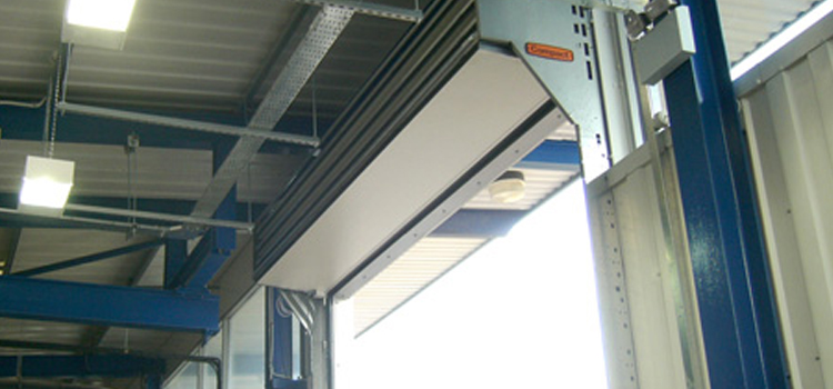 overhead sectional doors Lake Magdalene