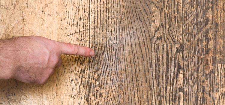 Wood Door Scratch Repair in Lake Magdalene
