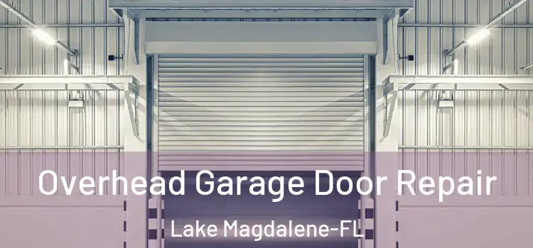  Overhead Garage Door Repair Lake Magdalene-FL