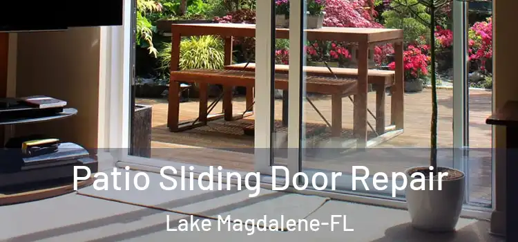  Patio Sliding Door Repair Lake Magdalene-FL