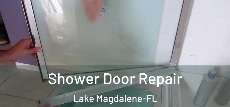  Shower Door Repair Lake Magdalene-FL