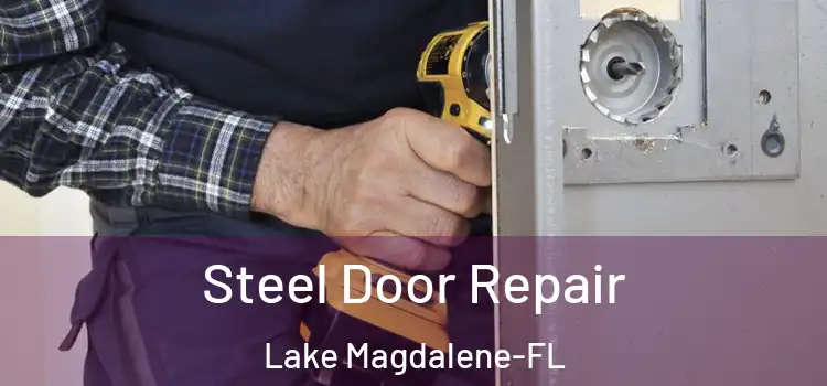  Steel Door Repair Lake Magdalene-FL