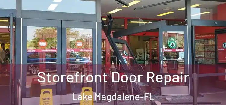  Storefront Door Repair Lake Magdalene-FL